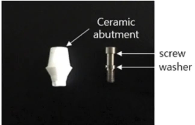 Fig. 1 Screw with a ceramic abutment and washer