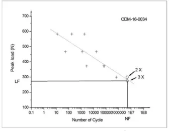 Fig. 6. After testing specimen