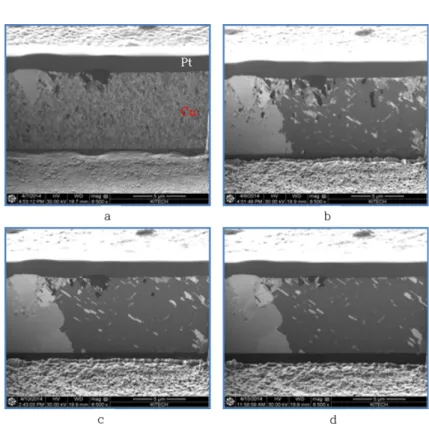 Fig. 1. Microstructure Evolution of Electroplated Cu layer without additive during Self-Annealing : (a) as-deposited, (b) After 1day, (c) After 3days, (d) After 7days.