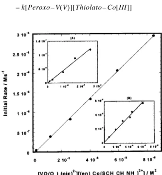 Fig. 1. The plots of [Peroxo-vanadium(V)][Thiolato-cobalt (III)] vs initial rate. inset; (A)VO(O 2 )(nta) 2− ; (B) VO(O 2 ) (dipic) − .