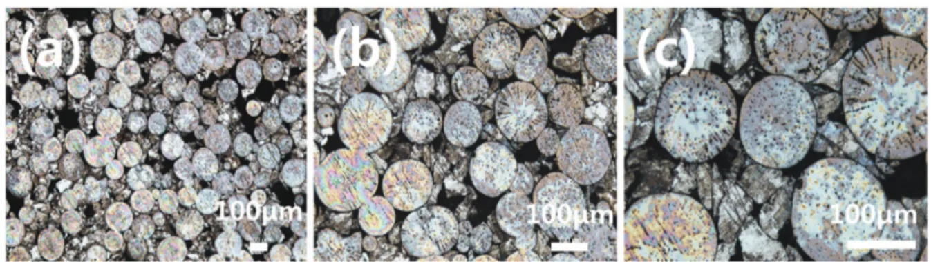 Fig. 6. Optical micrographs of the sintered Co-30Cr-10Ti alloy: (a) x50 (b) x100 (c) x200.
