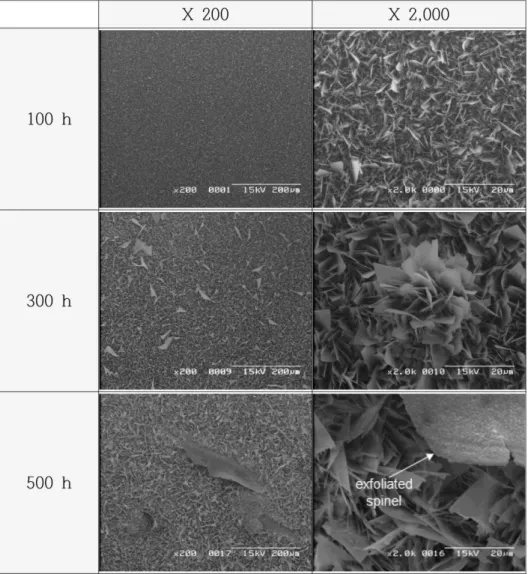 그림  3은 650 o C 의 76%N 2 +6%O 2 +16%CO 2 +2%SO 2 가스  환경에서 500시간  동안  부식된 1.25Cr-0.5MoFig