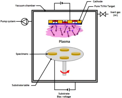 Fig. 1. Schematics of magnetron sputtering system on PEEK specimen for pure Ti/HA coating.
