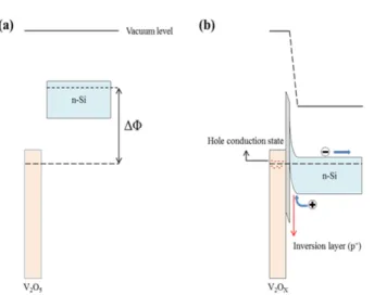 Fig. 2. The fabrication process for the dopant-free silicon heterojunction solar cell.