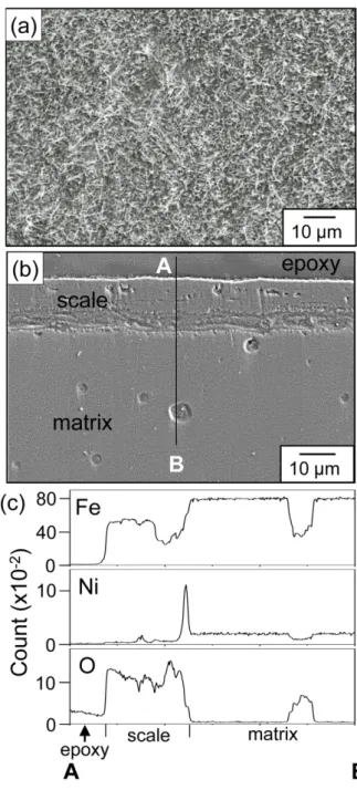 Fig. 3. Fe-2wt%Ni alloy after oxidation at 600 o C for 30 h. (a) SEM top view, (b) EPMA cross-sectional image, (c) EPMA line-profiles along A-B shown in (b)