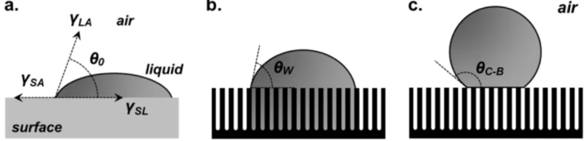 Fig. 1. (a) Contact angle (CA) on a smooth solid surface (Young’s model [25]), Wetting states on a rough surface: