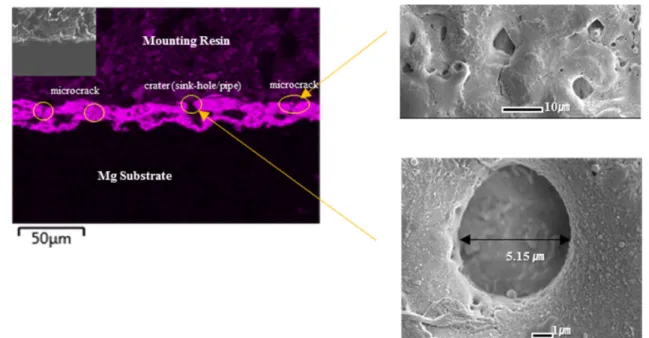 Figure 4 shows FESEM images of raw material and that treated under 150 V voltage control and 10 A/dm 2  current control.