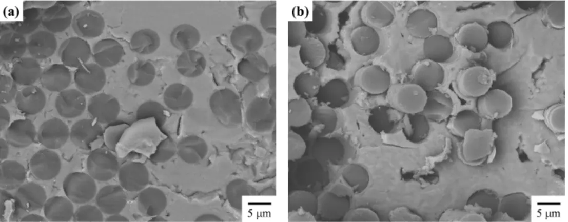 Fig. 8. Micrographs of fracture surface of Cf/SiC composites (a) without h-BN interphase and (b) with h-BN interphase.