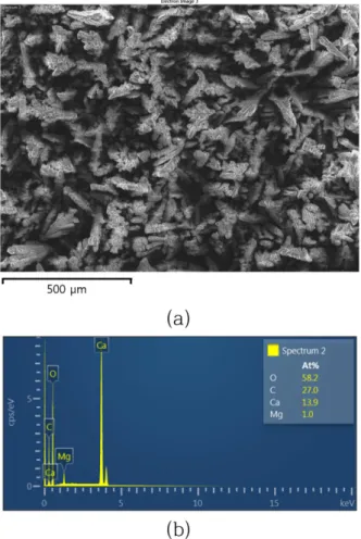 Fig. 3. (a) Second electron microscope image and (b) energy dispersive X-ray analysis result of  electro-deposit film by using oyster-shell.