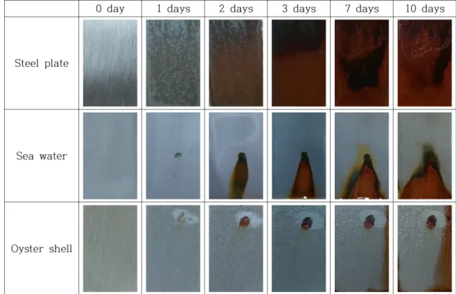 Fig. 5. Comparison of surface morphology after immersion test for 10 days in sea water.