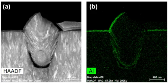 Fig. 5. High angle annular dark field Scanning Transmission Electron microscopy and energy dispersive x ray spectroscopy images of ALD-Al 2 O 3 /CrAlSiN/Cr adhesion layer/SUS304 sample.