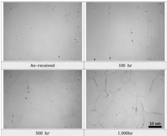 Fig. 6. Micrograph of STS 304 steel after isothermal aging at 650 o C by Murakami’s etchant.