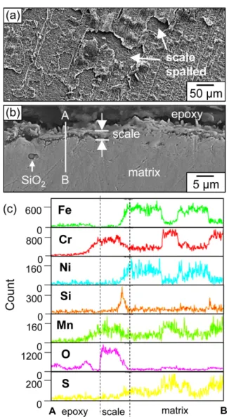 Fig. 3. Low S alloy after corrosion at 900 o C for 50 h in air. (a) SEM top view, (b) SEM cross-sectional image, (c) EDS line profiles along A-B