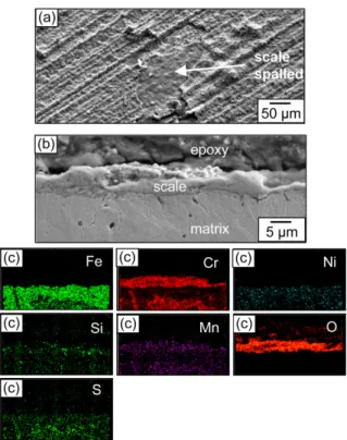 Fig. 5. Low S alloy after corrosion at 900 o C for 100 h in air. (a) SEM top view, (b) SEM cross-sectional image, (c) EDS maps of (b)