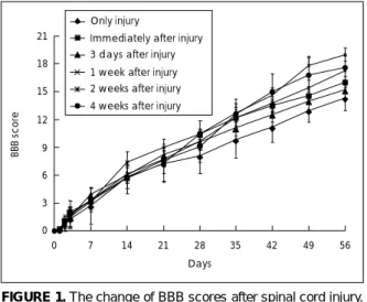 TABLE 1. The change of BBB scores after spinal cord injury