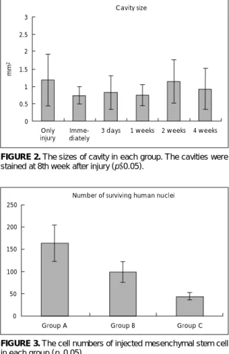 FIGURE 2. The sizes of cavity in each group. The cavities were  stained at 8th week after injury (p>0.05)