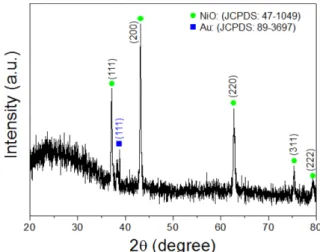 Fig. 1. XRD pattern for Au-decorated NiO nanofibers.