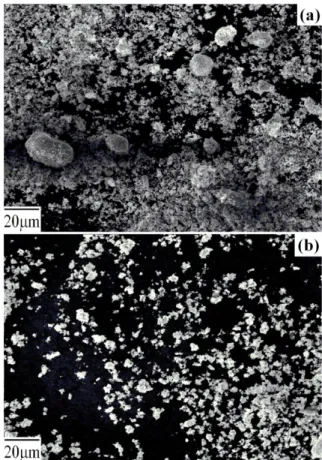Fig. 3. Micro-structure of the SHS reactant and product powders : (a) reactant (b) product.