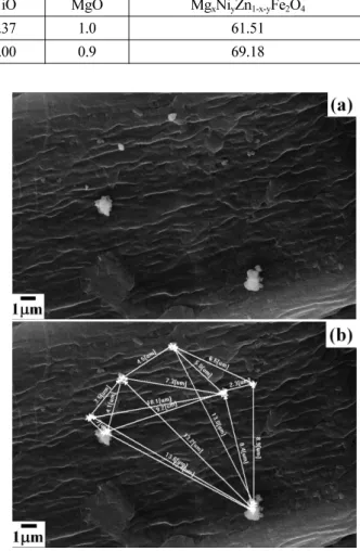 Fig. 9. SEM images of ferrite particles and theirs distribution on nature fiber in 2% surfactant solution.