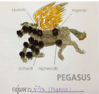 Figure 1. Depiction of the Scorpius Constellation by a student using some local weeds in Thailand.