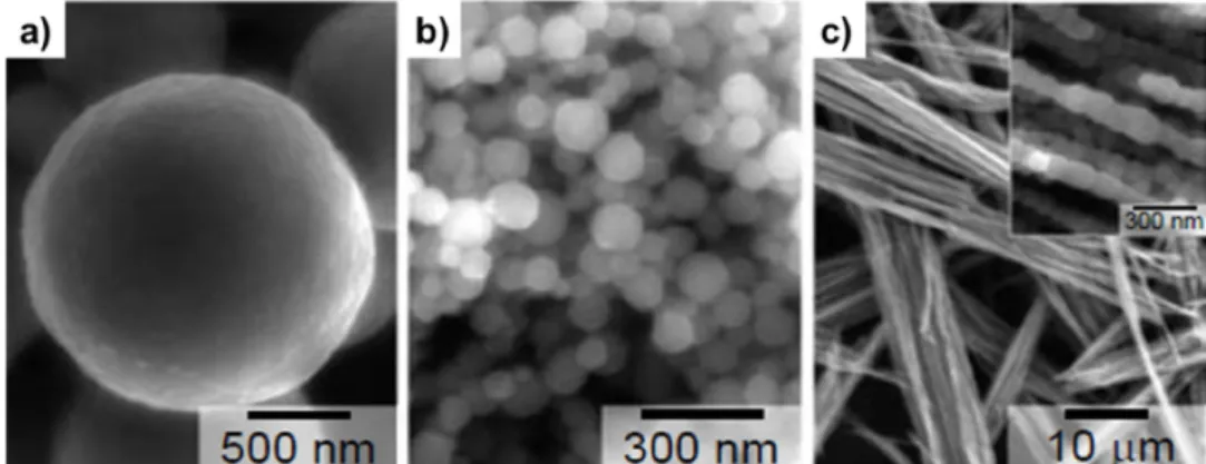 Fig. 7. Co nanoparticles and nanowires from 0.05M CoCl 6 ·6H 2 O and 0.2M NaOH in ethylene glycol solution