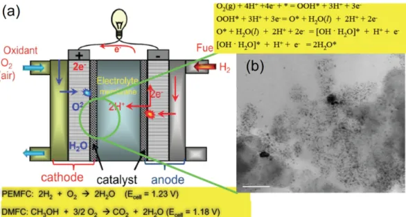 Fig. 1. A PEM fuel cell system. (a) Pt catalyst oxidizes H 2 (g) into a proton at anode and reduces O 2 (g) into O 2-  in cathode