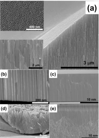 Fig. 1. (a) 45 o  inclined view, truncated plane view (upper inset) and cross-section view (lower inset) of SEM images of highly ordered Nb 2 O 5  structures formed at 7 V