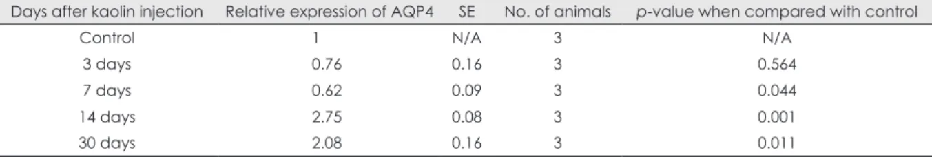 TABLE 2. Changes in expression of AQP4 in western blot of the brain parenchyma according to time sequence after intracisternal  kaolin injection