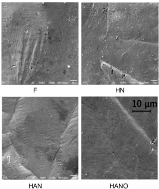 Fig. 10. Morphologies of the corroded surfaces after drawing 15th cyclic voltammogram curves in seawater solution (x 100).