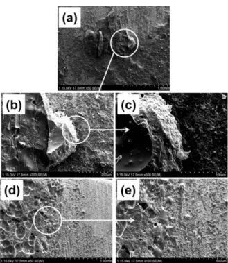 Table 1. The surface roughness values of Ni-13Cr-xTi alloys.                                     (Unit : Ra ( µm)) Specimens Ni-13Cr Ni-13Cr-5Ti Ni-13Cr-10Ti