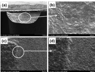 Fig. 7.  FE-SEM photographs of fracture surface of Ni- Ni-13Cr-10Ti alloys after bonding strength test: (a, b, and c) alloy-porcelain fractured surface, and (d and e) porcelain fractured surface.