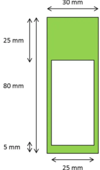 Fig. 1. Dimensions of the AZ31 Mg alloy sample used for chemical conversion coating and E-painting.