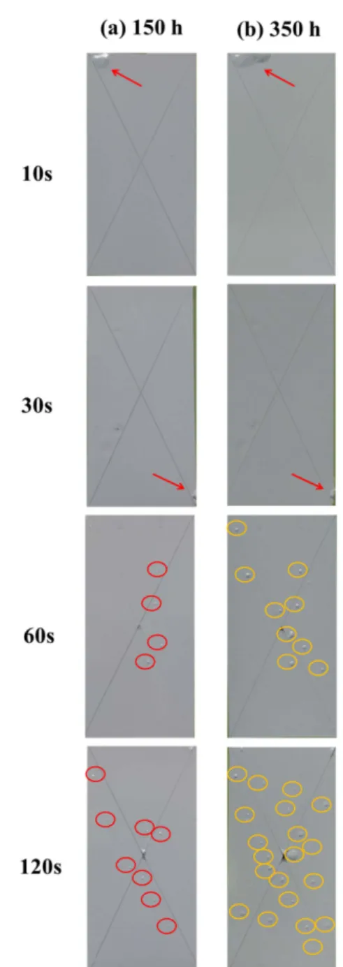 Fig. 4. Changes in colour of AZ31 Mg alloy with FCC treatment time in 1 M HF solution.