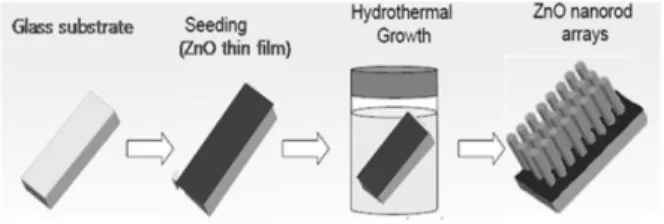 Figure 1. Schematic representation of the experimental process for the ZnO nanorod arrays grown on the seeded glass substrates.