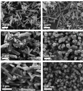 Figure 6. SEM micrographs of ZnO particles (P) and arrays (A) grown on the glass substrates prepared by the hydrothermal process at 80 o C, with different Zn precursor concentrations and reaction pH; (a) 0.1  M-pH 11 (P), (b) 0.1 M-M-pH 11 (A), (c) 0.3 M-M