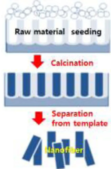 Fig. 1. Schematic synthesis process of nanofibers by AAO template.
