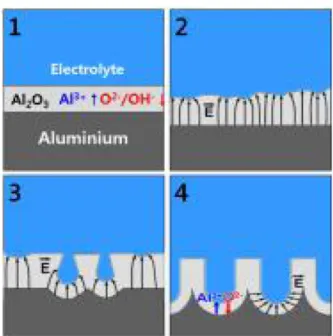 Fig. 3. Surface of AAO template after two-step anodizing process; (a) 135 min, (b) 165 min, (c) 195 min and (d) 215 min