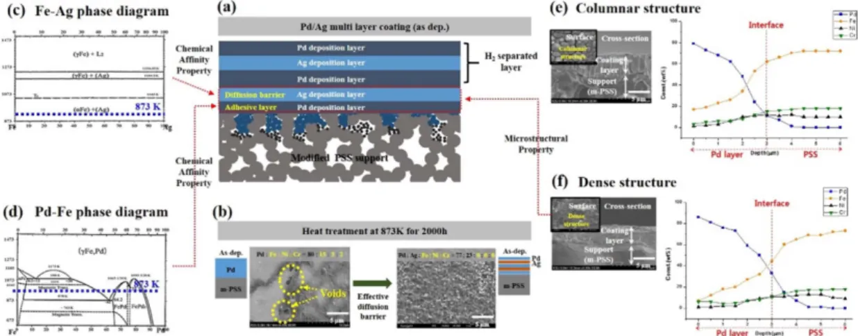 Fig. 4. Schematic illustration of Pd/Ag sputter multi-deposition diffusion barrier: (a) Characteristics of Pd/Ag multi-layer on the modified PSS support for H 2  separation and intermetallic diffusion barrier, (b) surface FE-SEM images and EDS composition 