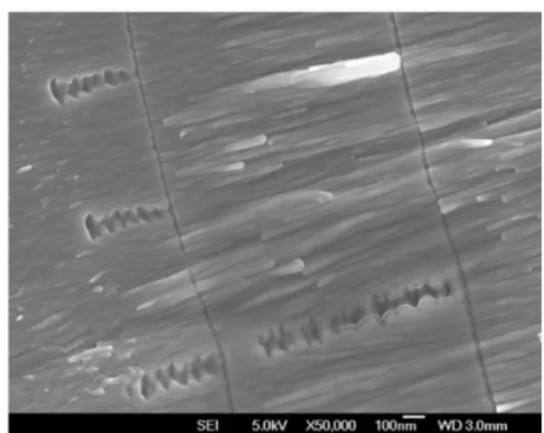 Fig. 6. Cross sectional view of a trivalent chrome layer observed by field emission scanning electron  micro-scopy.