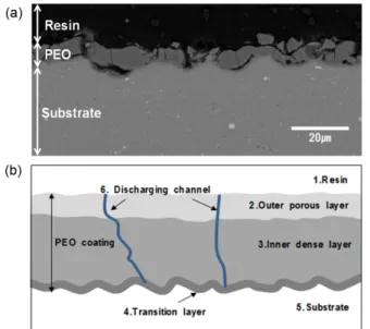 Figure 5 compares the average thickness of PEO coatings produced on 5083 Al alloy in electrolyte solution with different KOH concentrations at applied current density of 0.1 A/cm 2  for 1800 s.