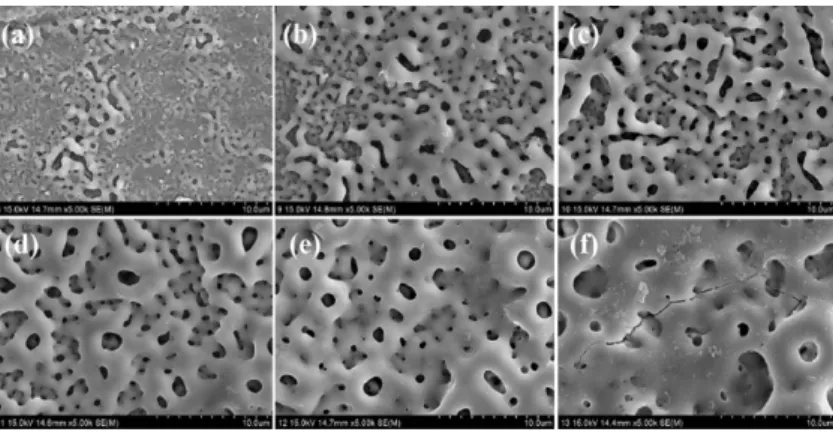 Figure 5 shows the FE-SEM images of the bone like apatite obtained after 7 days immersion in SBF solution on the PEO-treated surfaces of Ti-6Al-4V in various electrolytes