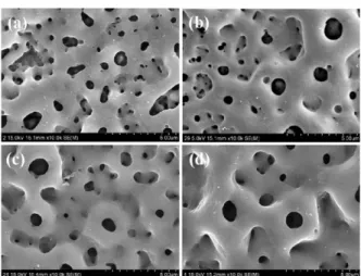 Figure 7 shows the ionic interface between PEO film formed Ti-6Al-4V and bone-like apatite formed PEO films containing Mg ion was estimated from ATR-FTIR measurement of the immersed in SBF for 7 days