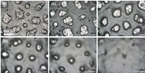 Fig. 4. Optical microscopy images of cured E-paints on AZ31 Mg alloy taken at two different magnifications (a, b) before and (c, d) after water immersion test for 500 h at 40 o C