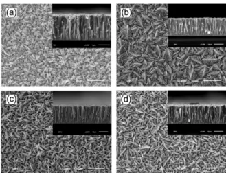 Fig. 2. SEM image of Cu-doped Bi 2 (Te-Se) 3  (Cu weight = 0, 1, 1.5, 10 mg) thin film at room  tem-perature