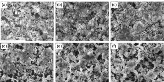 Fig. 9. Cross-sectional view of the epoxy replicas of PEO films formed on AZ31 Mg alloy for 10 min using anodic pulse current with 0.2 ms width in 0.06 M Na 3 PO 4 +0.06M Na 2 SiO 3  solution containing various NaOH concentrations of (a) 0.05 M, (b) 0.1 M,