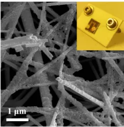 Fig. 2. XRD patterns of In 2 O 3  nanowires with and without Co 3 O 4  nanoparticles coated.