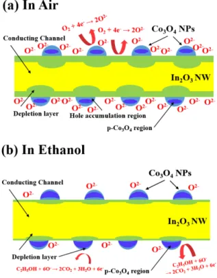 Fig. 5.  Schematic diagrams showing the mechanisms forming at the n-In 2 O 3 /p-Co 3 O 4  heterojunction upon exposure to (a) air, and (b) ethanol gas.