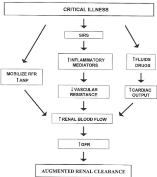Figure 1. Current understanding of the pathophysiology of ARC in  which critical illness triggers the systemic inflammatory response  syn-drome (SIRS) or mobilizes renal functional reserve (RFR) to eventually  increase renal blood flow and glomerular filtr
