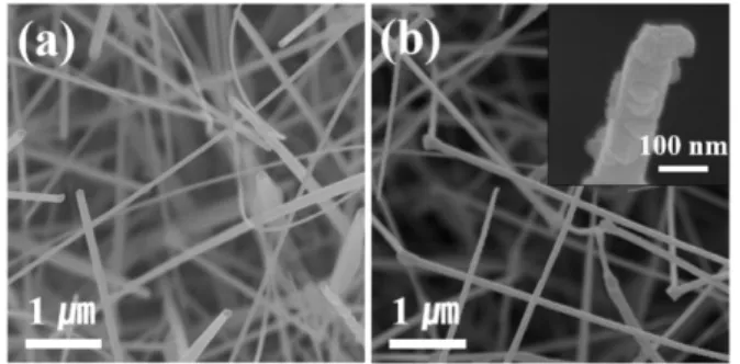 Fig. 2.  XRD Patterns of Pd-functionalized β-Bi 2 O 3  nano- nano-wires.