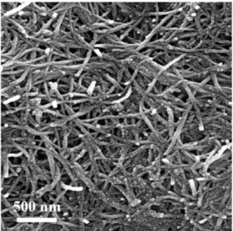 Fig. 1.  SEM image of TiO 2  nanoparticles coated MWCNT. 